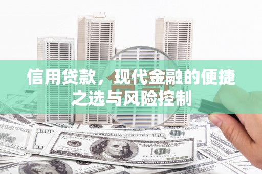 西市信用贷款，现代金融的便捷之选与风险控制