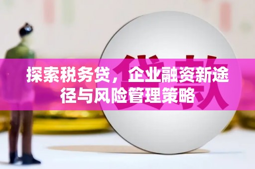 西市探索税务贷，企业融资新途径与风险管理策略