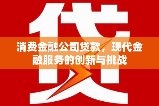 西市消费金融公司贷款，现代金融服务的创新与挑战