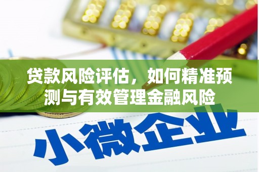 西市贷款风险评估，如何精准预测与有效管理金融风险