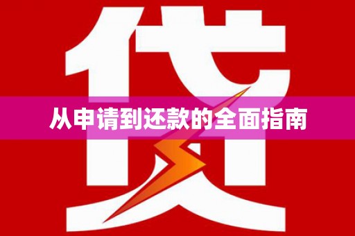 西市从申请到还款的全面指南