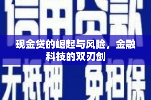 西市现金贷的崛起与风险，金融科技的双刃剑