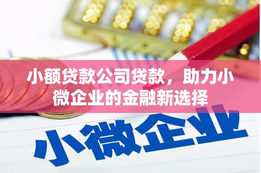 西市小额贷款公司贷款，助力小微企业的金融新选择