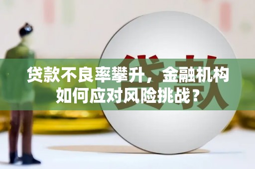 西市贷款不良率攀升，金融机构如何应对风险挑战？