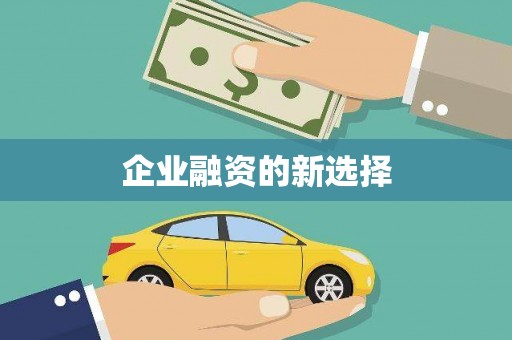 西市企业融资的新选择