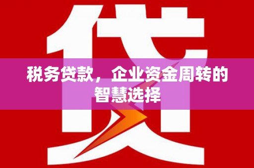 西市税务贷款，企业资金周转的智慧选择