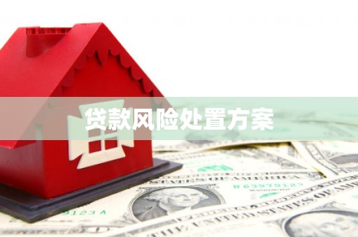 西市贷款风险处置方案