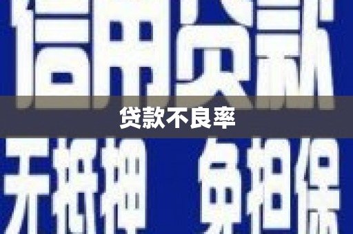西市贷款不良率