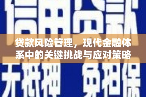 西市贷款风险管理，现代金融体系中的关键挑战与应对策略