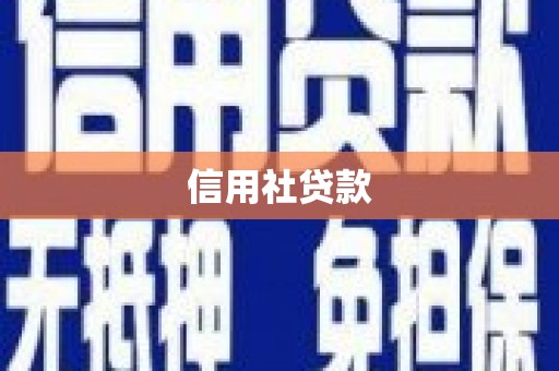 西市信用社贷款