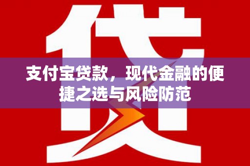 西市支付宝贷款，现代金融的便捷之选与风险防范