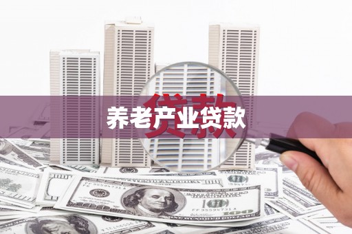 西市养老产业贷款
