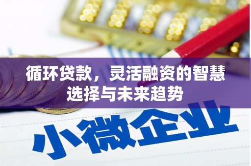 西市循环贷款，灵活融资的智慧选择与未来趋势