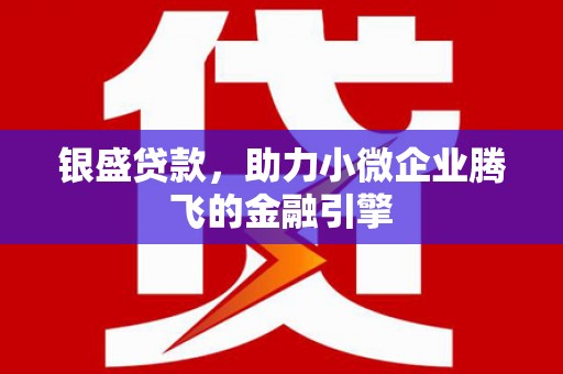 西市银盛贷款，助力小微企业腾飞的金融引擎