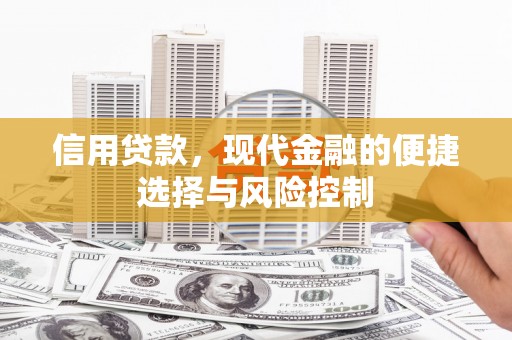 西市信用贷款，现代金融的便捷选择与风险控制