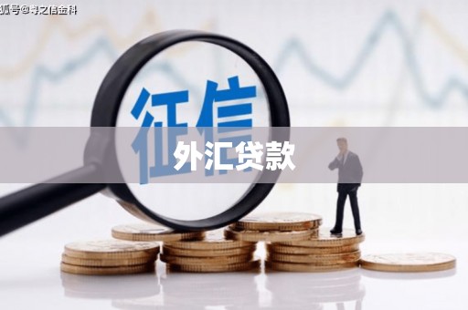 西市外汇贷款