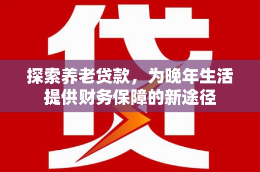 西市探索养老贷款，为晚年生活提供财务保障的新途径
