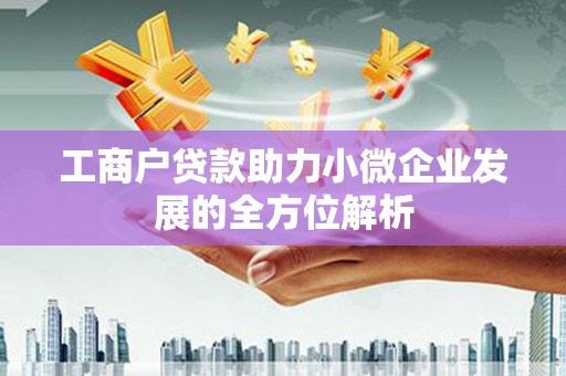 西市工商户贷款助力小微企业发展的全方位解析