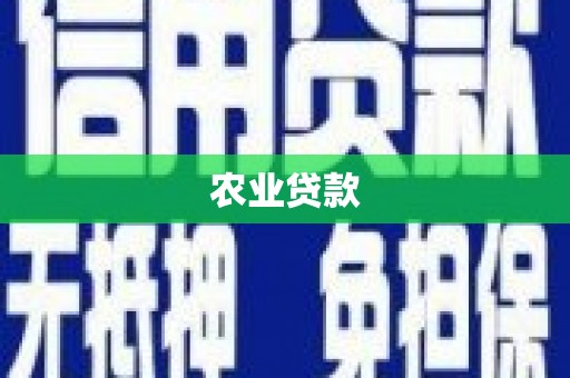 西市农业贷款