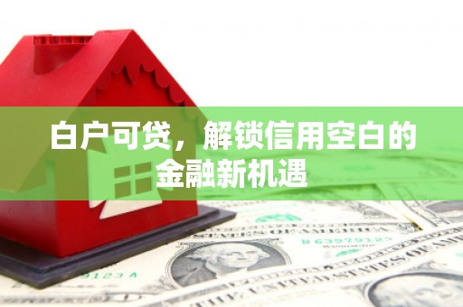 西市白户可贷，解锁信用空白的金融新机遇