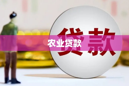 西市农业贷款