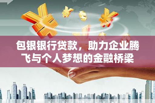西市包银银行贷款，助力企业腾飞与个人梦想的金融桥梁