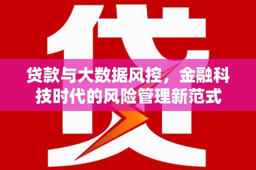 西市贷款与大数据风控，金融科技时代的风险管理新范式