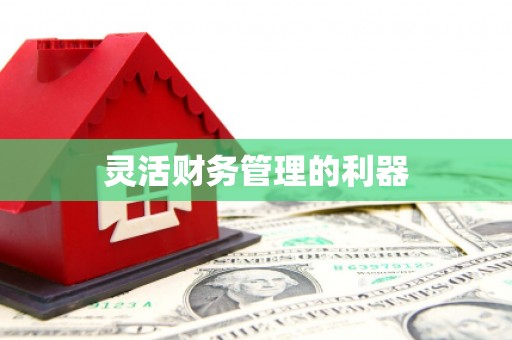 西市灵活财务管理的利器
