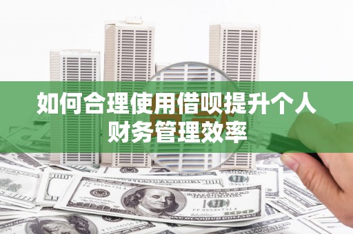 西市如何合理使用借呗提升个人财务管理效率