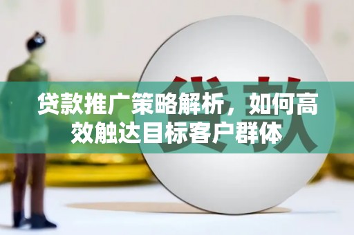 西市贷款推广策略解析，如何高效触达目标客户群体