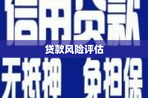 西市贷款风险评估