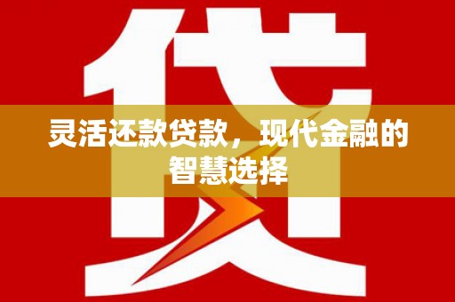 西市灵活还款贷款，现代金融的智慧选择