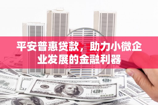 西市平安普惠贷款，助力小微企业发展的金融利器