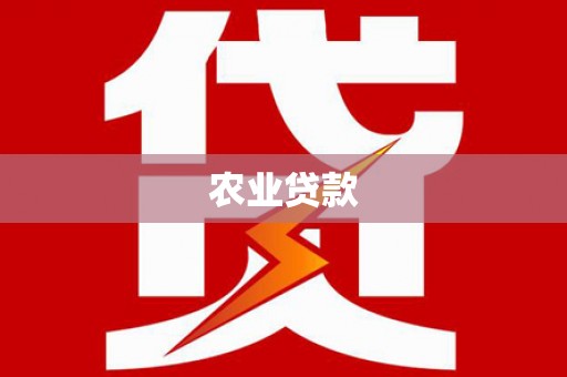 西市农业贷款