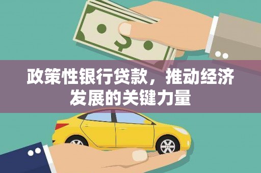 西市政策性银行贷款，推动经济发展的关键力量