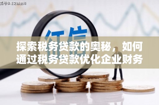 西市探索税务贷款的奥秘，如何通过税务贷款优化企业财务