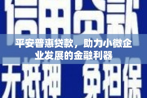 西市平安普惠贷款，助力小微企业发展的金融利器