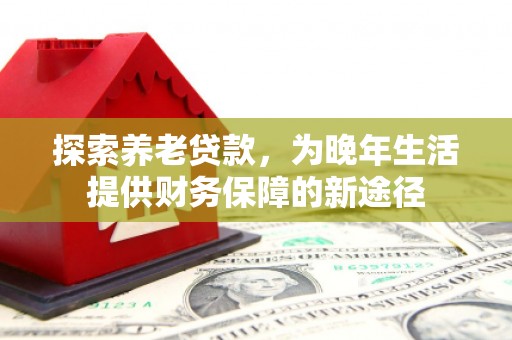 西市探索养老贷款，为晚年生活提供财务保障的新途径