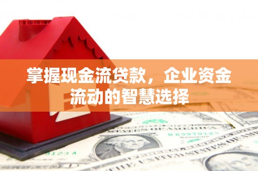 西市掌握现金流贷款，企业资金流动的智慧选择