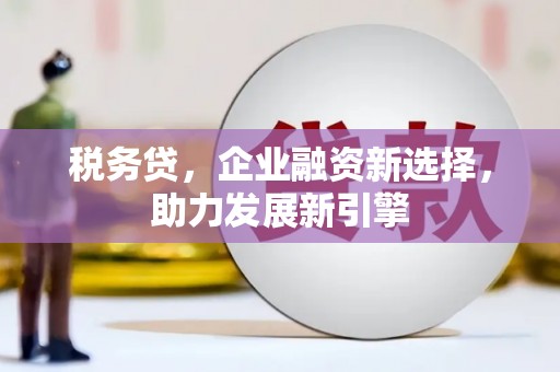 西市税务贷，企业融资新选择，助力发展新引擎