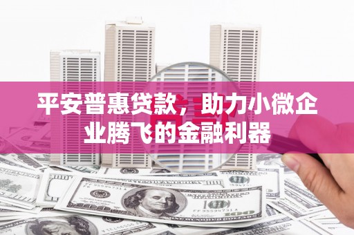 西市平安普惠贷款，助力小微企业腾飞的金融利器
