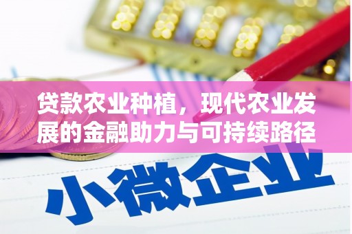 西市贷款农业种植，现代农业发展的金融助力与可持续路径
