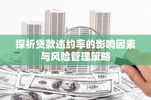 西市探析贷款违约率的影响因素与风险管理策略