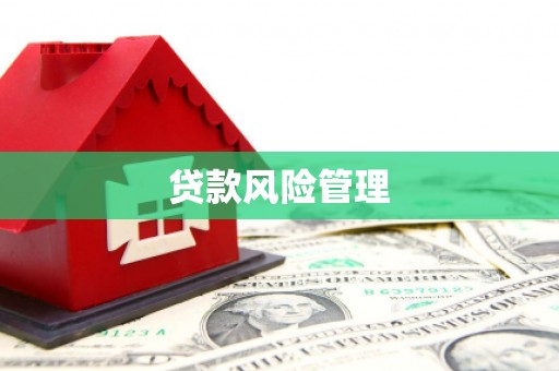 西市贷款风险管理