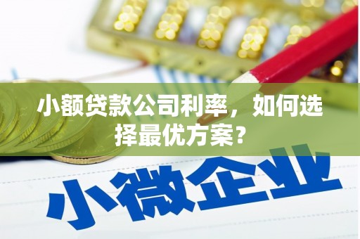 西市小额贷款公司利率，如何选择最优方案？