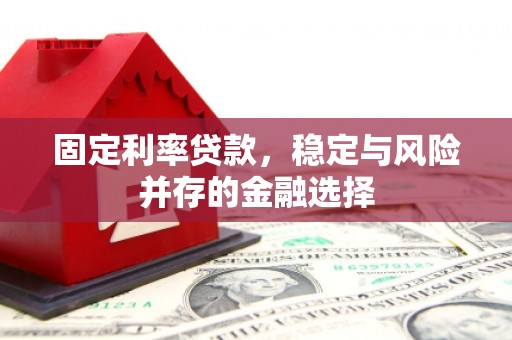 西市固定利率贷款，稳定与风险并存的金融选择
