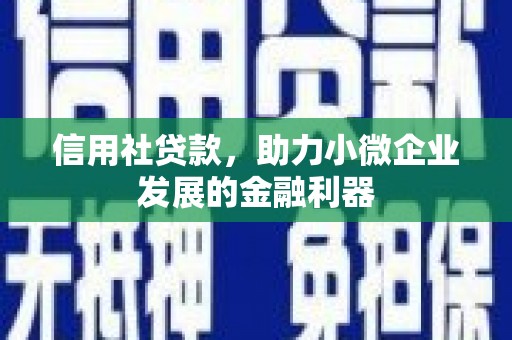 西市信用社贷款，助力小微企业发展的金融利器
