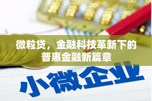 西市微粒贷，金融科技革新下的普惠金融新篇章
