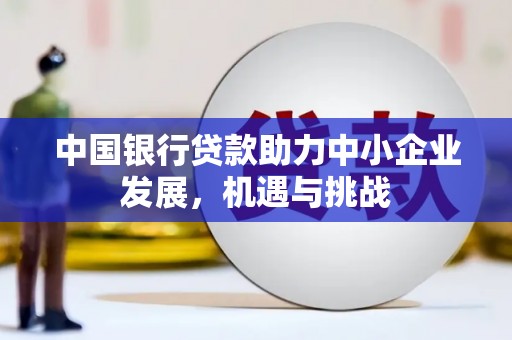 西市中国银行贷款助力中小企业发展，机遇与挑战