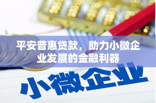 西市平安普惠贷款，助力小微企业发展的金融利器